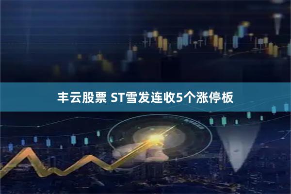 丰云股票 ST雪发连收5个涨停板