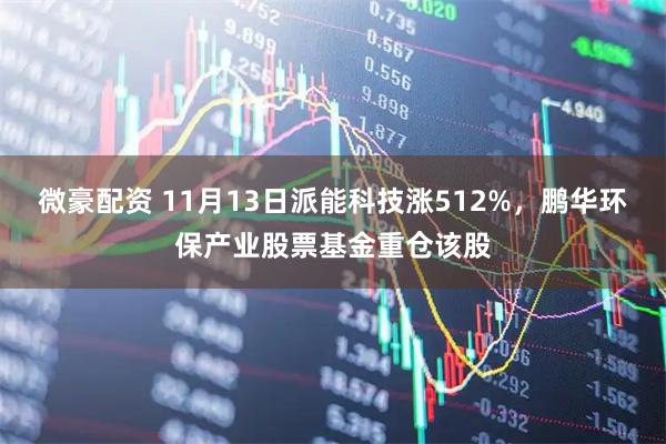 微豪配资 11月13日派能科技涨512%，鹏华环保产业股票基金重仓该股